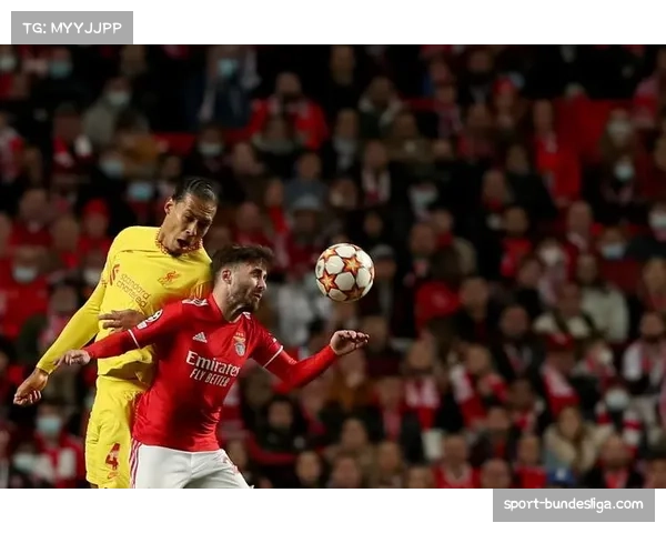 体育经济智库发布报告,分析欧冠对欧洲足球生态的财政影响 体育经济智库发布报告,分析欧冠对欧洲足球生态的财政影响